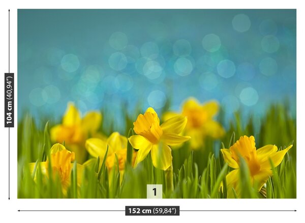 Carta da parati Narcisi 104x70 cm