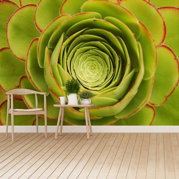 Carta da parati Fiore verde 104x70 cm