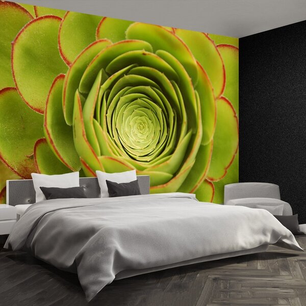 Carta da parati Fiore verde 104x70 cm