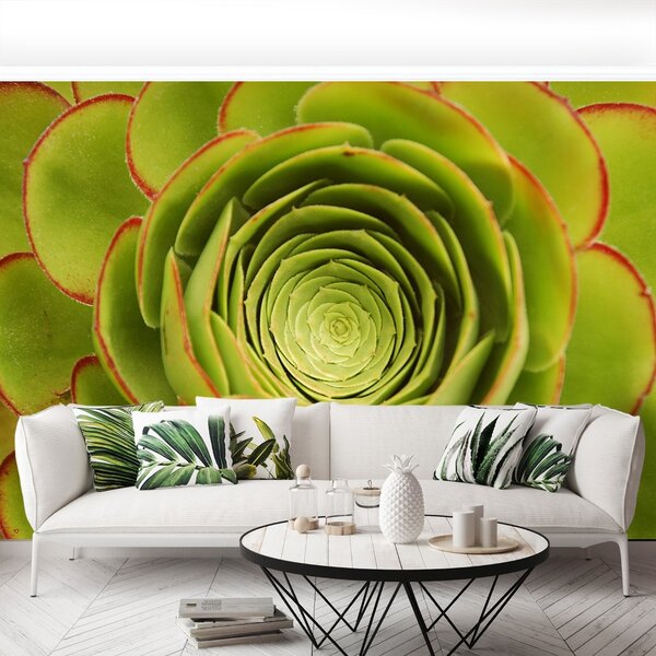 Carta da parati Fiore verde 104x70 cm