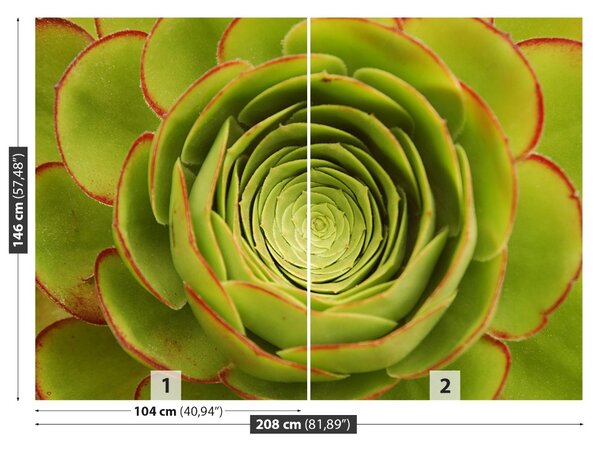 Carta da parati Fiore verde 104x70 cm