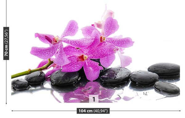 Carta da parati Orchidea rosa 104x70 cm