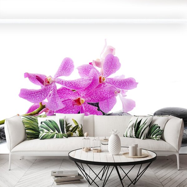 Carta da parati Orchidea rosa 104x70 cm