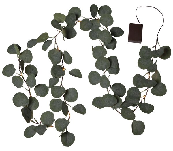 Star Trading Mini catena luminosa a LED Eucalipto