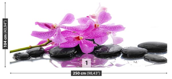 Carta da parati Orchidea rosa 104x70 cm