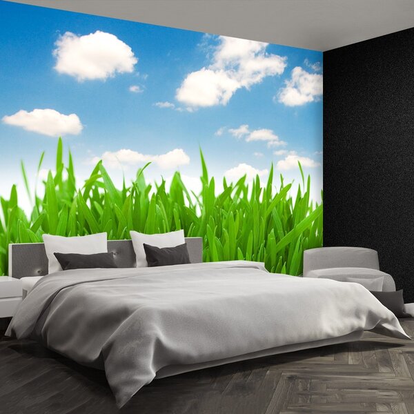 Carta da parati Cielo in erba 104x70 cm