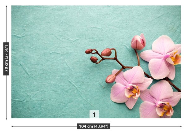Carta da parati Orchidea rosa 104x70 cm