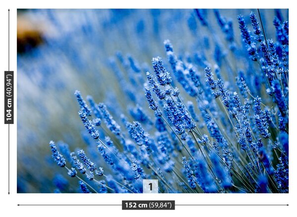 Carta da parati Lavanda blu 104x70 cm