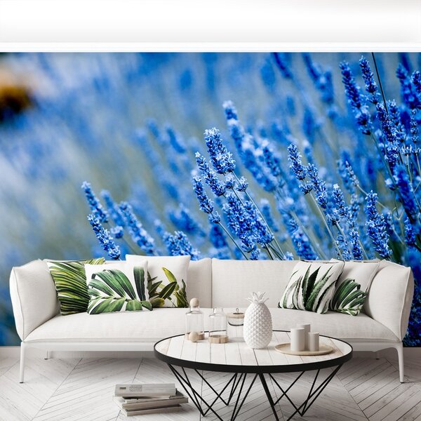 Carta da parati Lavanda blu 104x70 cm
