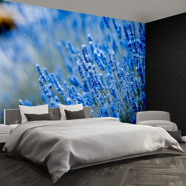 Carta da parati Lavanda blu 104x70 cm