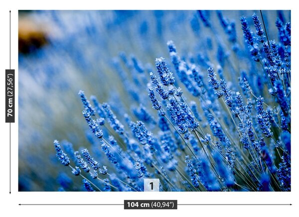 Carta da parati Lavanda blu 104x70 cm