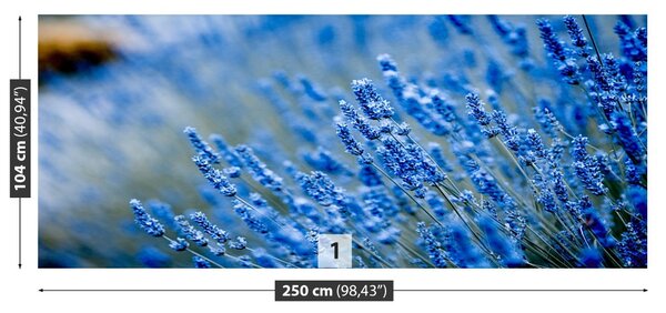 Carta da parati Lavanda blu 104x70 cm
