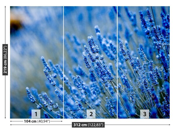 Carta da parati Lavanda blu 104x70 cm