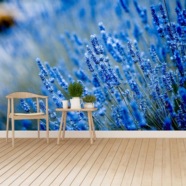 Carta da parati Lavanda blu 104x70 cm