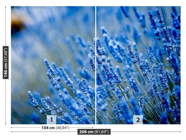 Carta da parati Lavanda blu 104x70 cm