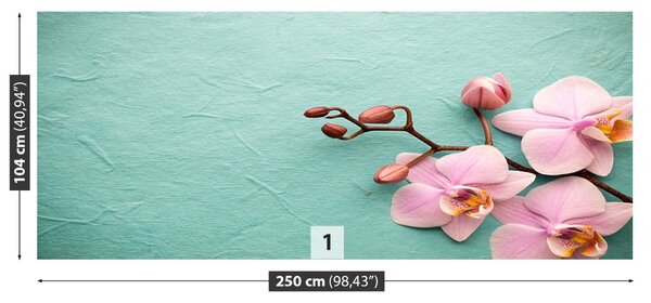 Carta da parati Orchidea rosa 104x70 cm