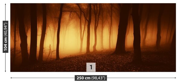 Carta da parati Foresta terribile 104x70 cm