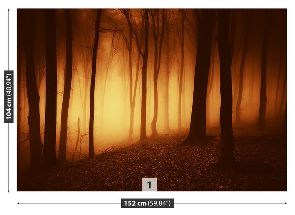 Carta da parati Foresta terribile 104x70 cm