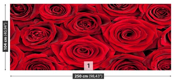 Carta da parati Rose rosse 104x70 cm