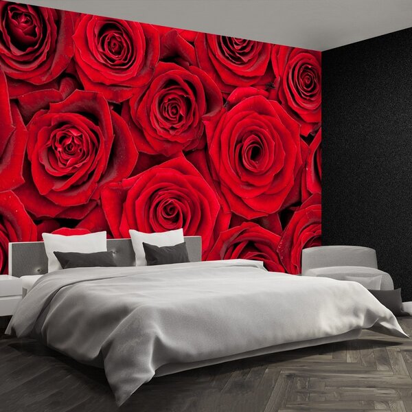 Carta da parati Rose rosse 104x70 cm
