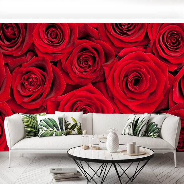 Carta da parati Rose rosse 104x70 cm