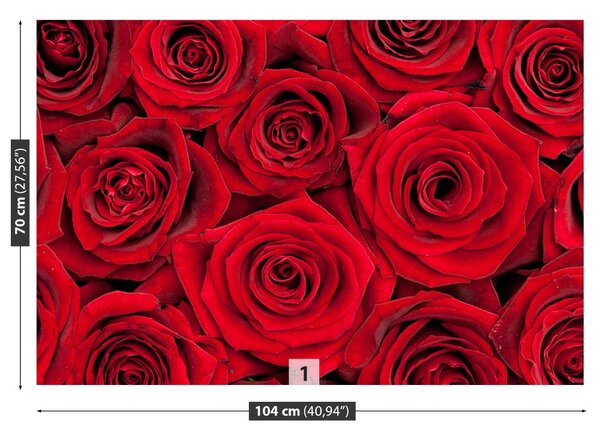 Carta da parati Rose rosse 104x70 cm