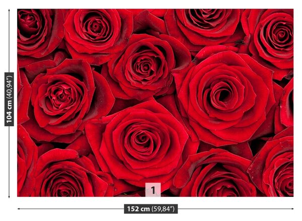 Carta da parati Rose rosse 104x70 cm