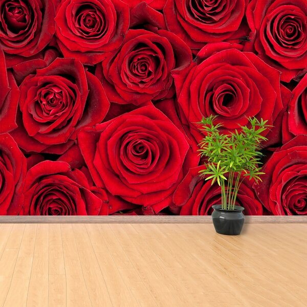 Carta da parati Rose rosse 104x70 cm