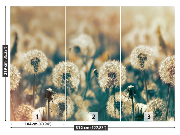 Carta da parati Dandelion Meadow 104x70 cm