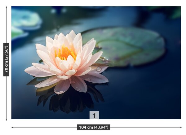 Carta da parati Lotos Flower Pond 104x70 cm