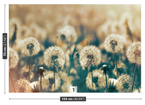 Carta da parati Dandelion Meadow 104x70 cm