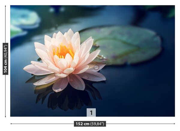 Carta da parati Lotos Flower Pond 104x70 cm