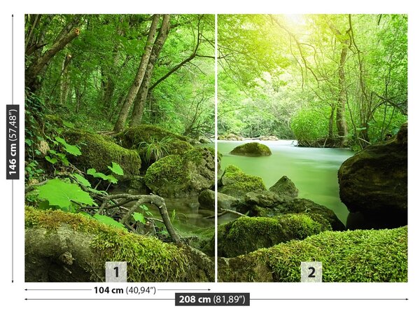 Carta da parati Foresta del fiume 104x70 cm