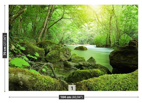 Carta da parati Foresta del fiume 104x70 cm