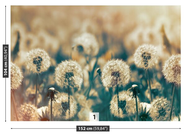 Carta da parati Dandelion Meadow 104x70 cm
