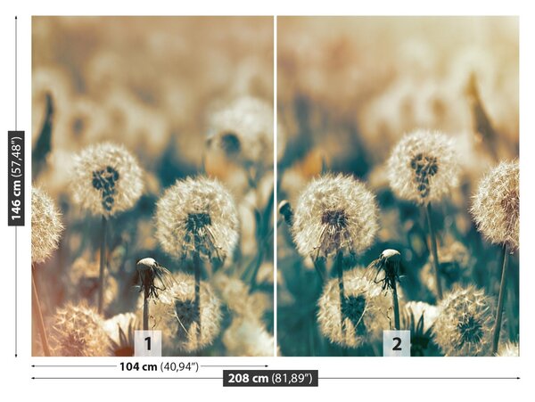 Carta da parati Dandelion Meadow 104x70 cm