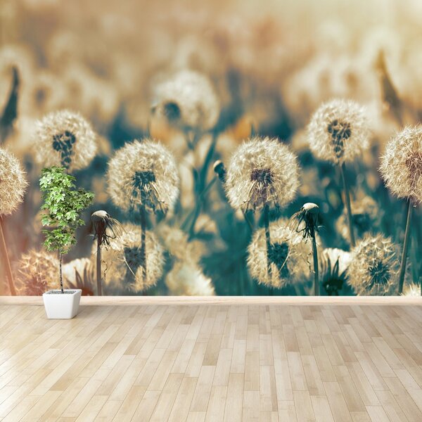 Carta da parati Dandelion Meadow 104x70 cm