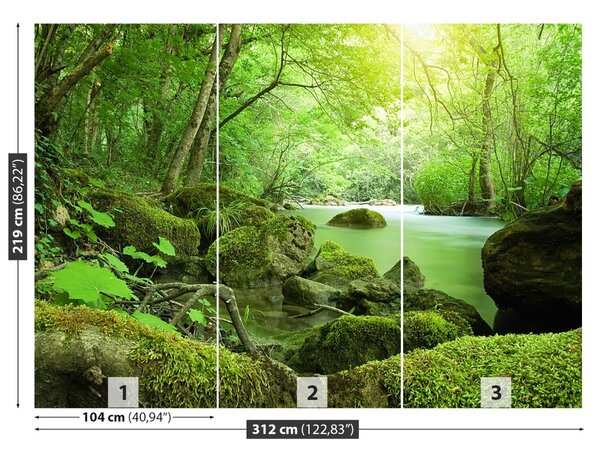 Carta da parati Foresta del fiume 104x70 cm