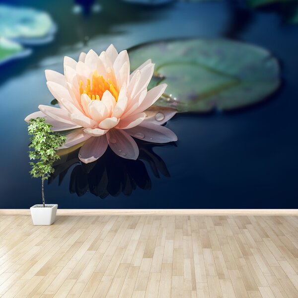 Carta da parati Lotos Flower Pond 104x70 cm