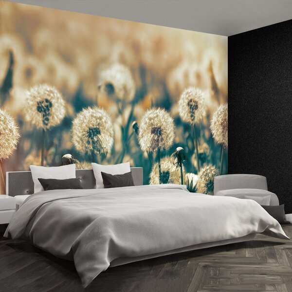 Carta da parati Dandelion Meadow 104x70 cm