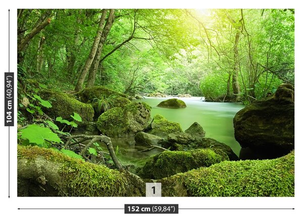 Carta da parati Foresta del fiume 104x70 cm