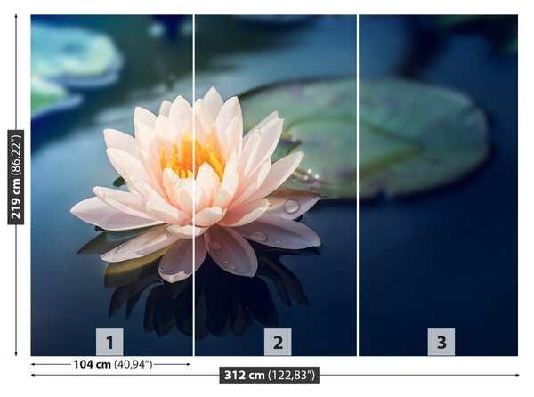 Carta da parati Lotos Flower Pond 104x70 cm