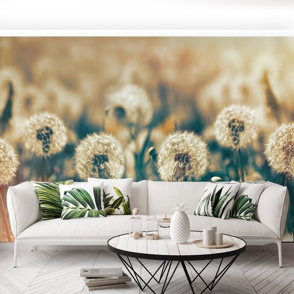 Carta da parati Dandelion Meadow 104x70 cm