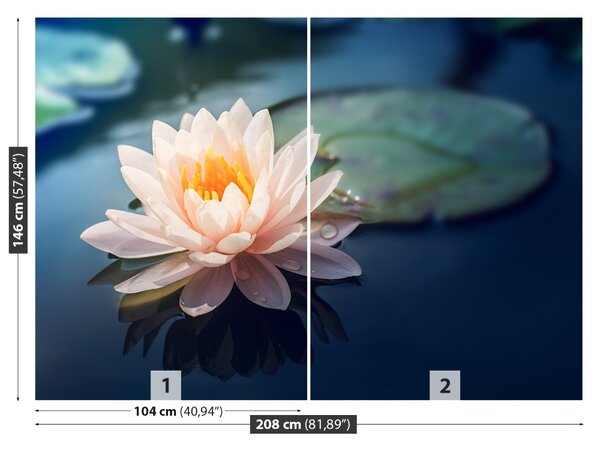 Carta da parati Lotos Flower Pond 104x70 cm