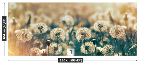 Carta da parati Dandelion Meadow 104x70 cm