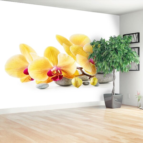 Carta da parati Orchidea gialla 104x70 cm