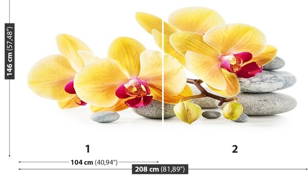 Carta da parati Orchidea gialla 104x70 cm