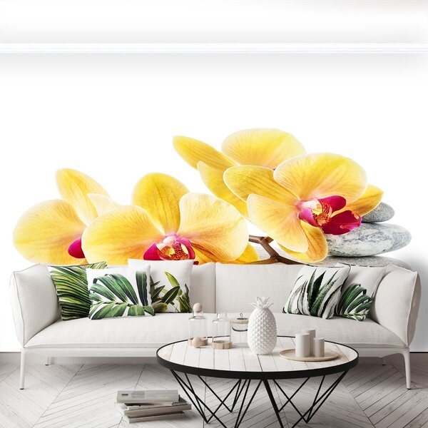 Carta da parati Orchidea gialla 104x70 cm