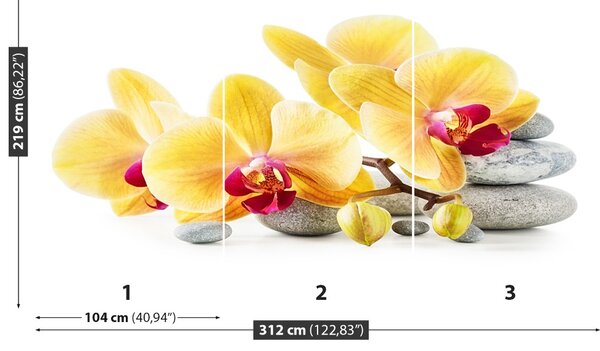 Carta da parati Orchidea gialla 104x70 cm