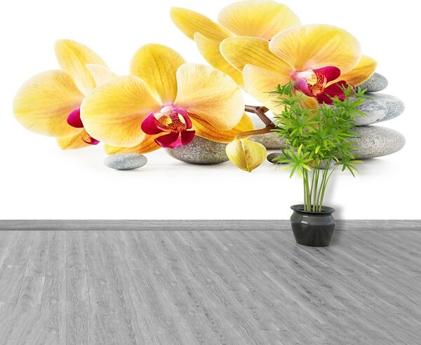 Carta da parati Orchidea gialla 104x70 cm